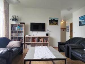 sala de estar con 2 sofás y TV en Rauðsdalur, en Brjánslækur
