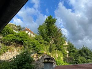 uma parede de pedra com árvores e uma casa ao fundo em LE COQUET hyper centre climatisé em Salins-les-Bains