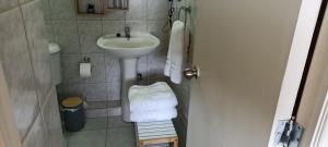 uma pequena casa de banho com lavatório e WC em Acogedor Apartamento, rodeado de Naturaleza y Mar. em Puerto Montt