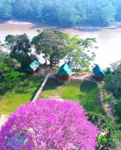 two small houses on an island with pink flowers at Sunrise of Tambopata in Puerto Maldonado