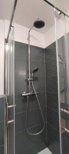 y baño con ducha y manguera. en Indy Appart - T2 moderne, calme, propre, parking, balcon vue, en Saint-Priest