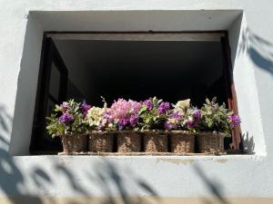 a vase filled with flowers next to a window at B&B La casa di g.g. in Grottammare
