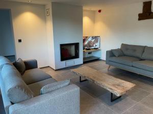 sala de estar con 2 sofás y TV en Attractive holiday home in Wallonie with garden en Gros-Fays