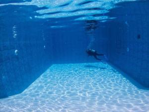 71% Diving Resort في دوماغيتي: شخص يسبح في الماء في حوض سمك