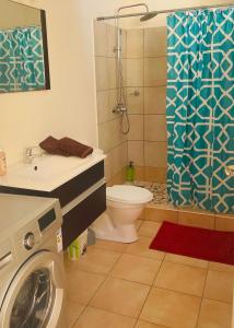 a bathroom with a washing machine and a shower at Studio Moana in Bora Bora