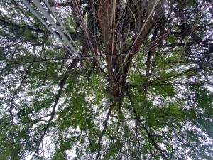 Φωτογραφία από το άλμπουμ του Pequeño Paraíso 2 σε El Placer