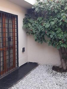 een deur met een struik naast een gebouw bij Petit Bombal in Godoy Cruz