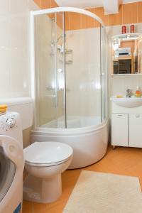 a bathroom with a shower and a toilet and a sink at Apartments with a swimming pool Mlini, Dubrovnik - 9009 in Mlini