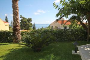 un palmier dans la cour d'une maison dans l'établissement Apartments and rooms with parking space Mlini, Dubrovnik - 8994, à Mlini