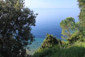 Fotografia z galérie ubytovania Seaside secluded apartments Cove Rapak, Hvar - 8767 v destinácii Gdinj
