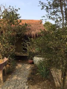 Cabaña pequeña con techo de paja y algunas plantas en Battambang Eco Stay, en Phumĭ Ândong Pring