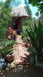 um caminho que leva a uma pequena casa com plantas em Battambang Eco Stay em Phumĭ Ândong Pring
