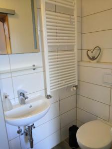 a bathroom with a sink and a toilet and a mirror at Haus Fessel - Zeterklippe in Elend