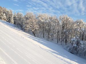 a snow covered slope with trees in the background at Resort Inn Murata in Iiyama