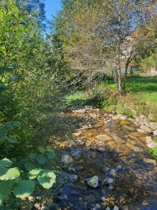 a stream with rocks and trees in a yard at Casa Celedonio in Cerredo