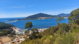 a view of a town and a body of water at Vila Maria in Vila Praia de Âncora