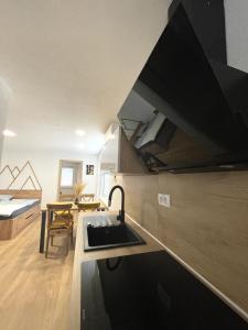 cocina con fregadero y encimera en Apartments and rooms pri Bašlju, en Cerkno