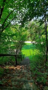 Paesaggio naturale nelle vicinanze dell'appartamento