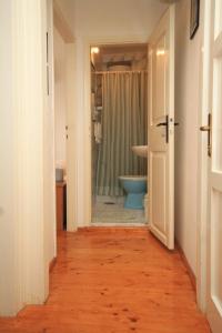 La salle de bains est pourvue d'une douche et de toilettes bleues. dans l'établissement Apartments and rooms by the sea Komiza, Vis - 8910, à Komiža