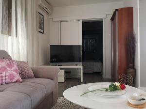 TV a/nebo společenská místnost v ubytování Apartments with parking spaces Rukavac, Vis - 8897