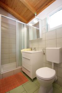 e bagno con servizi igienici, doccia e lavandino. di Apartments with WiFi Vis - 8872 a Vis