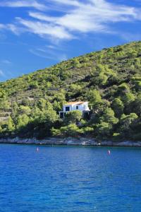 Fotografie z fotogalerie ubytování Apartments by the sea Cove Stoncica, Vis - 8941 v destinaci Vis