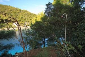 Fotografie z fotogalerie ubytování Apartments by the sea Cove Stoncica, Vis - 8941 v destinaci Vis