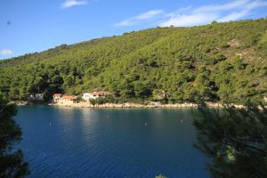 Fotografie z fotogalerie ubytování Apartments by the sea Cove Stoncica, Vis - 8941 v destinaci Vis