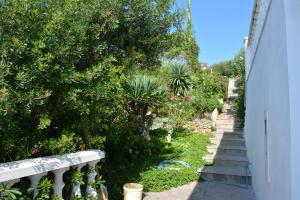 Zahrada ubytování Apartments by the sea Milna, Vis - 8944