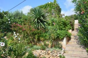 Zahrada ubytování Apartments by the sea Milna, Vis - 8944