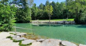 Paesaggio naturale nelle vicinanze dell'appartamento