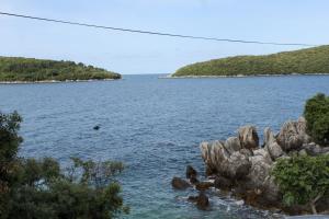 Fotografie z fotogalerie ubytování Apartments by the sea Molunat, Dubrovnik - 8956 v destinaci Molunat