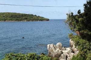 Fotografie z fotogalerie ubytování Apartments by the sea Molunat, Dubrovnik - 8956 v destinaci Molunat