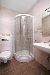 a bathroom with a shower and a toilet and a sink at Apartments by the sea Zavalatica, Korcula - 9138 in Zavalatica