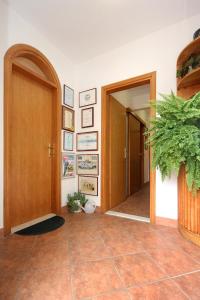 a hallway with two doors and a potted plant at Apartments with WiFi Dubrovnik - 8975 in Dubrovnik