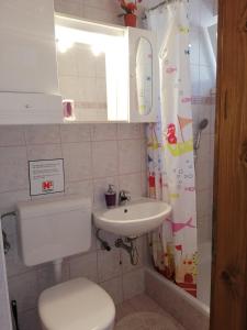 a small bathroom with a toilet and a sink at Apartments with a parking space Vrbica, Dubrovnik - 9008 in Dubrovnik