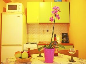 Kuchyňa alebo kuchynka v ubytovaní Apartments with parking spaces Makarska - 9129