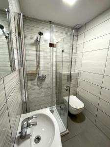 a bathroom with a shower and a sink and a toilet at Apartments and rooms pri Bašlju in Cerkno