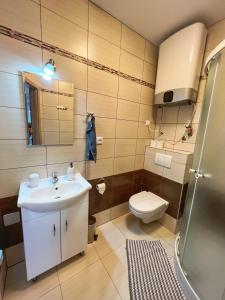 uma casa de banho com um lavatório, um WC e um espelho. em Ubytování nad sklípkem v Šatově em Satov