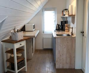 eine Küche mit einer Theke und einem Waschbecken in einem Zimmer in der Unterkunft Refugium Erholung am Meer in Zinnowitz