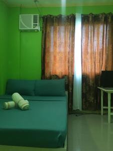 um sofá azul num quarto verde com uma janela em Twin AP Homes em Boracay