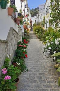 un chemin en pierre avec des fleurs et des plantes sur un bâtiment dans l'établissement Casa de las Flores - a picture perfect location!, à El Gastor
