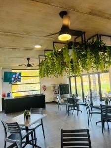 a restaurant with tables and chairs and plants hanging from the ceiling at Villa 86, Ballito in Ballito