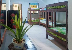 a room with bunk beds and a potted plant at RedDoorz at St Anthony Beach Resort in Asturias