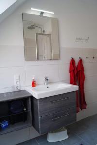 a bathroom with a sink and a mirror at Heimathafen in Langeoog