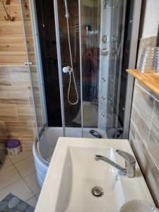 een badkamer met een wastafel en een douche bij Gabel&Jurgen in Mirsk