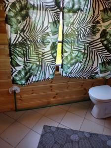 een badkamer met een toilet en een raam bij Gabel&Jurgen in Mirsk