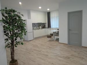 a kitchen and living room with a potted plant at Apartament lângă Catedrală in Câmpulung Moldovenesc