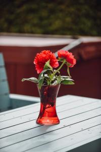 Billede fra billedgalleriet på Lizzie's Cottage i Drumaroad