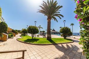 a park with a palm tree and the ocean at Perla Marina en Rocas del Mar in Arona